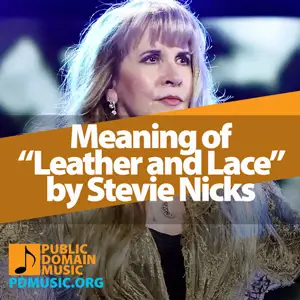 Meaning-of-the-Song-Leather-and-Lace-by-Stevie-Nicks