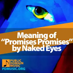 Meaning-of-the-Song-Promises-Promises-by-Naked-Eyes