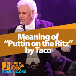 Meaning of the Song “Puttin’ on the Ritz” by Taco