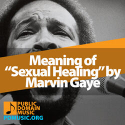 Meaning of the Song “Sexual Healing” by Marvin Gaye