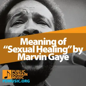 Meaning-of-the-Song-Sexual-Healing-by-Marvin-Gaye