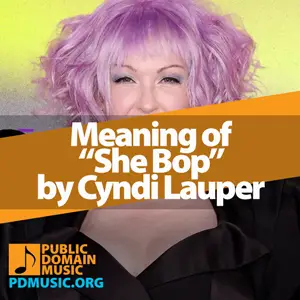 Meaning-of-the-Song-She-Bop-by-Cyndi-Lauper