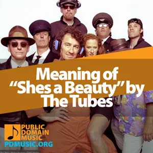 Meaning-of-the-Song-Shes-a-Beauty-by-The-Tubes