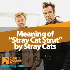 Meaning-of-the-Song-Stray-Cat-Strut-by-Stray-Cats