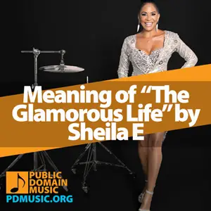 Meaning-of-the-Song-The-Glamorous-Life-by-Sheila-E