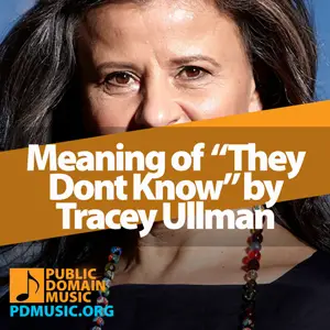 Meaning-of-the-Song-They-Dont-Know-by-Tracey-Ullman