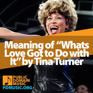 Meaning-of-the-Song-Whats-Love-Got-to-Do-with-It-by-Tina-Turner