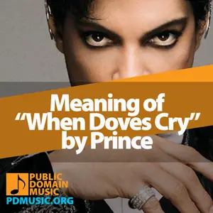 Meaning-of-the-Song-When-Doves-Cry-by-Prince