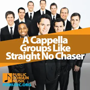 a-cappella-groups-like-straight-no-chaser