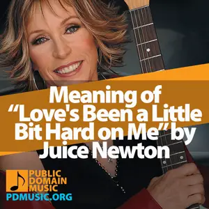 meaning-of-the-song-Love's-Been-a-Little-Bit-Hard-on-Me-by-Juice-Newton