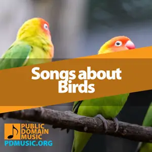 songs-about-birds