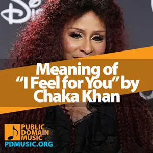 Meaning-of-the-Song-I-Feel-for-You-by-Chaka-Khan