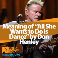 Meaning of the Song “All She Wants to Do Is Dance” by Don Henley