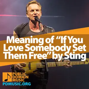 Meaning-of-the-Song-If-You-Love-Somebody-Set-Them-Free-by-Sting