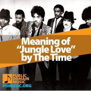 Meaning-of-the-Song-Jungle-Love-by-The-Time