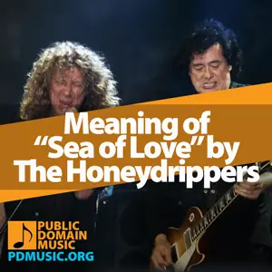 Meaning-of-the-Song-Sea-of-Love-by-The-Honeydrippers