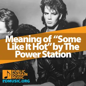 Meaning-of-the-Song-Some-Like-It-Hot-by-The-Power-Station