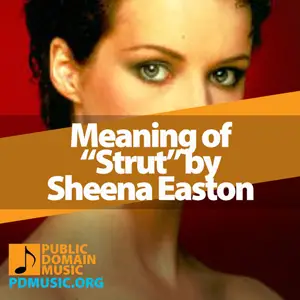 Meaning-of-the-Song-Strut-by-Sheena-Easton