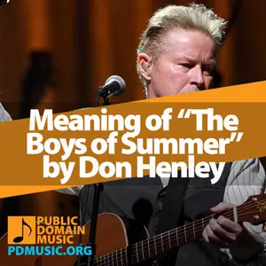 Meaning-of-the-Song-The-Boys-of-Summer-by-Don-Henley