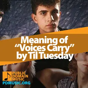 Meaning-of-the-Song-Voices-Carry-by-Til-Tuesday