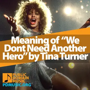 Meaning-of-the-Song-We-Dont-Need-Another-Hero-Thunderdome-by-Tina-Turner-