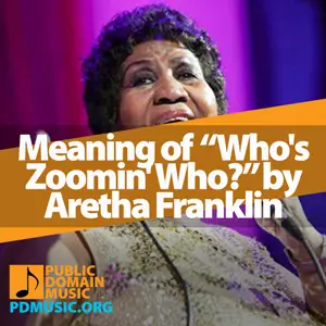 Meaning-of-the-Song-Who's-Zoomin'-Who--by-Aretha-Franklin